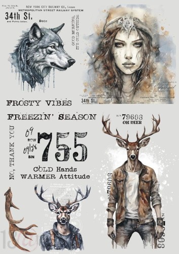 transfer Frosty vibes.jpg