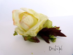 Róża na gałązce kremowa