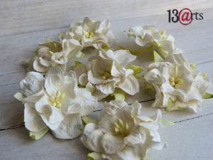 White curly flowers  25pcs