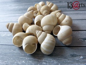 Zestaw muszelek kremowe - 50 gr 