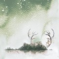 0102  Hello December.jpg