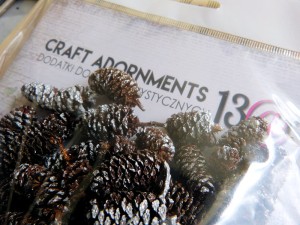 Szyszki brzozy bielone - susz