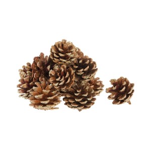 Szyszki dekoracyjne do wianków - duże (siatka)