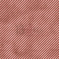 0302.jpg