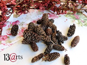 Szyszki naturalne - susz 