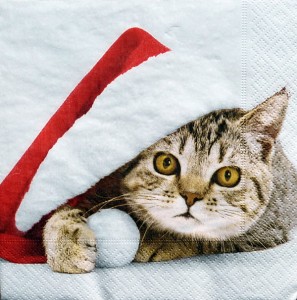 Serwetka Santa cat
